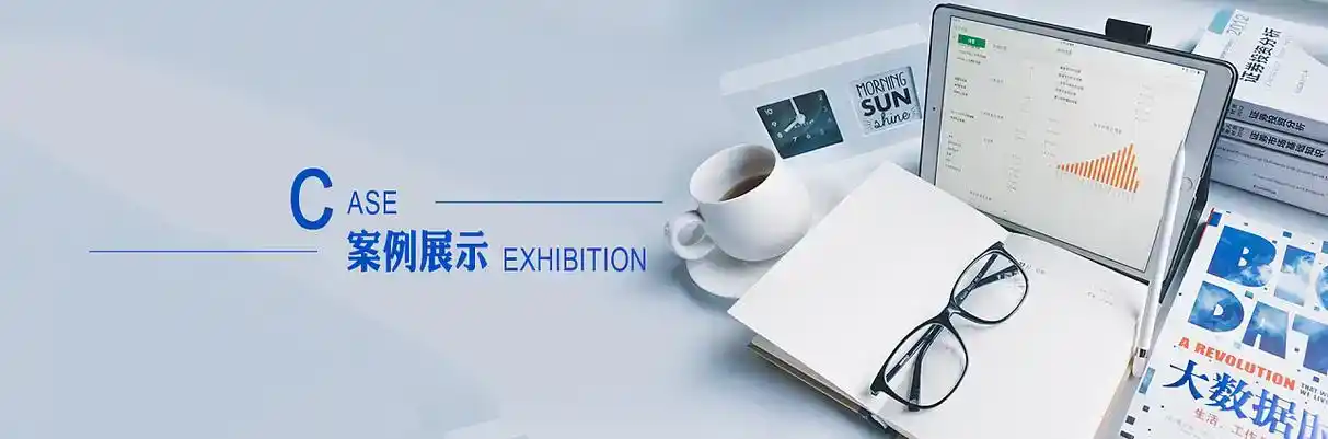 勃利县软件开发